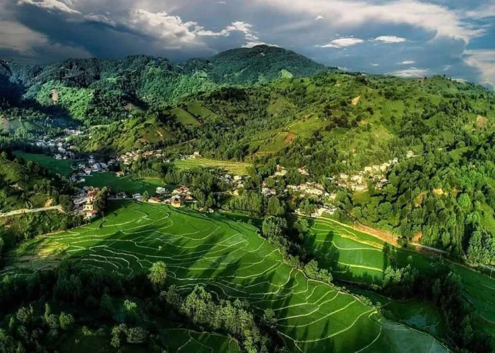 تست عملیاتی دی‌نو ۱۶.۹