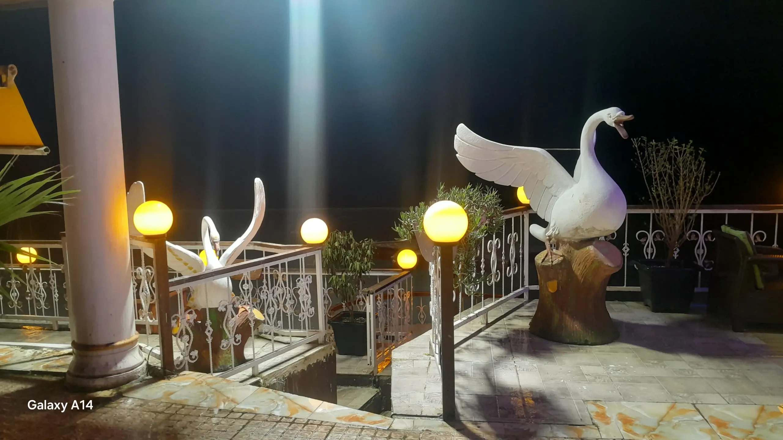 تصویر 7 از 8