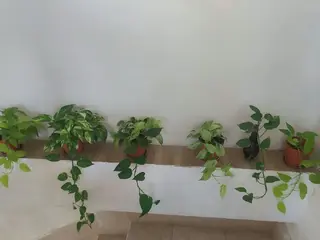 نمای بندانگشتی ۱۰ از ویلا ساحلی چهارخواب در چمخاله