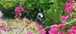نمای بندانگشتی ۱۷ از ویلا ساحلی چهارخواب در چمخاله