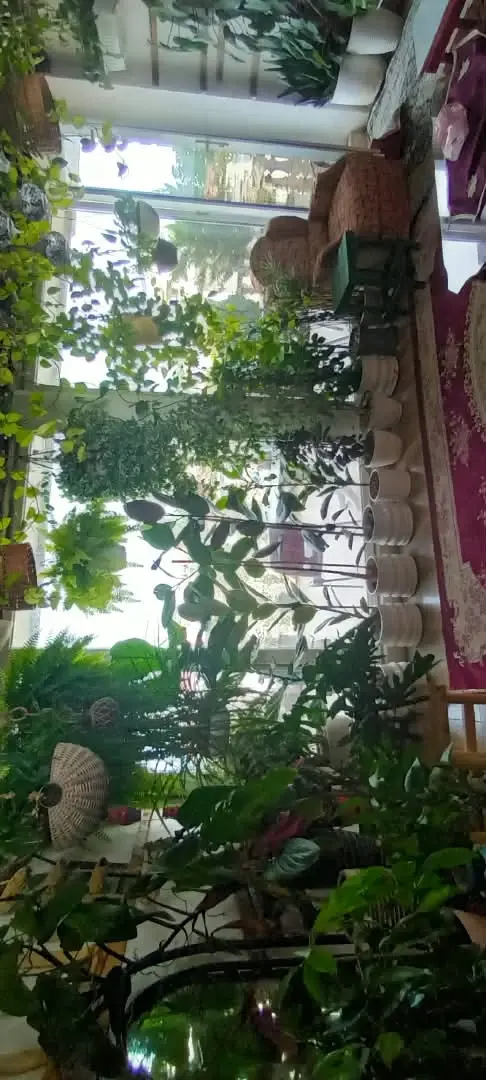 نمای 34 از ویلا ساحلی چهارخواب در چمخاله در چاف و چمخاله
