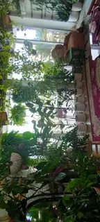 نمای بندانگشتی ۳۴ از ویلا ساحلی چهارخواب در چمخاله